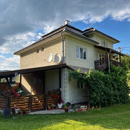 Вілла Casa Danut Vidra  Екстер'єр фото