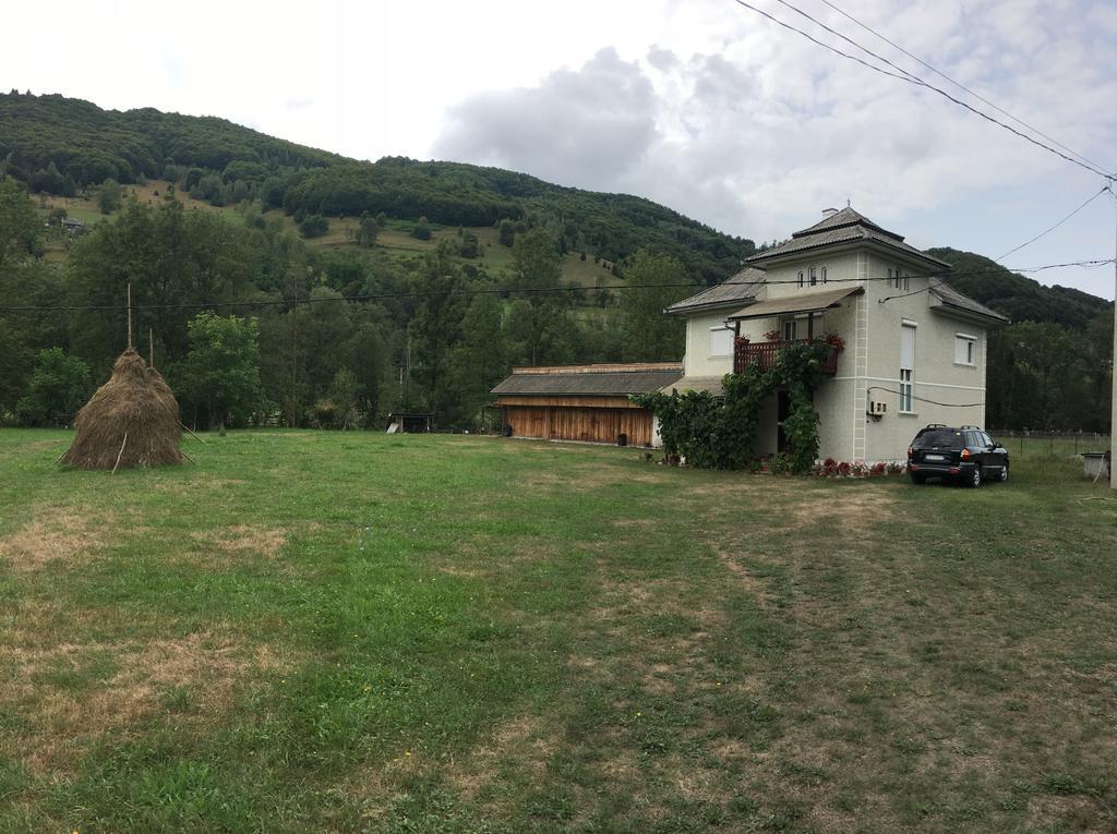 Вілла Casa Danut Vidra  Екстер'єр фото
